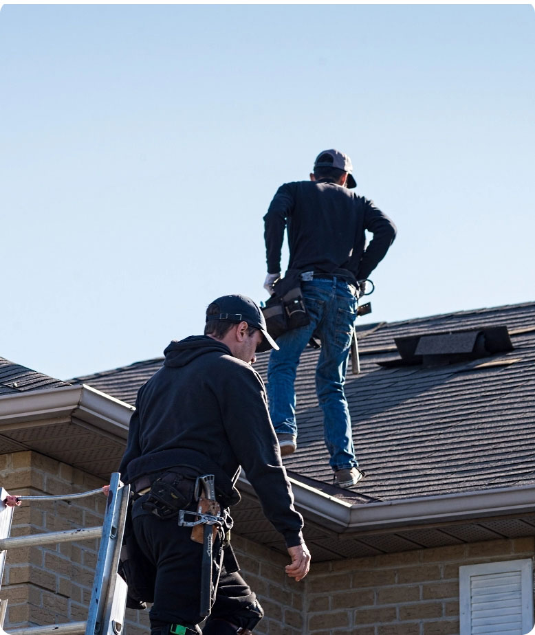 Professional Roofing